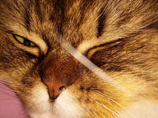 СССР. Как это было у меня.