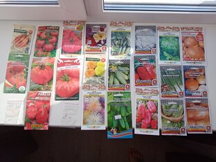 Огород 2023. Про деревню