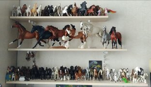 Моя коллекция ᘛ⁐̤ᕐᐷ