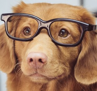 Знания с юмором