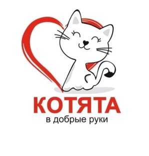 Котята.