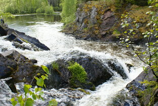 О Карелии и Петрозаводске