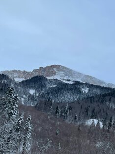 Путешествие по Краснодарскому краю