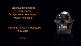 Социальная эволюция мозга