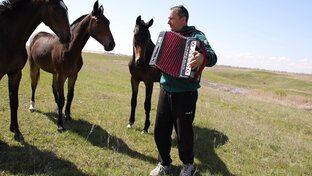 Обучение на гармони самостоятельно