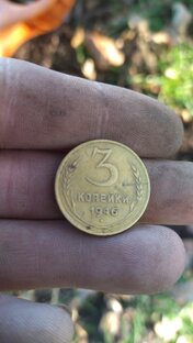 Прогулки с металлоискателем