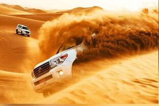 Desert Adventure Safari Tour From Abu Dhabi