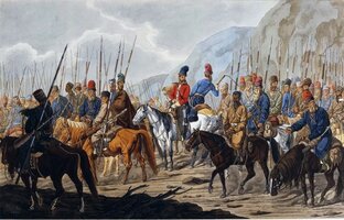 Дикая степь