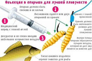 Рыбацкие заметки