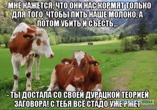 Глобалистика