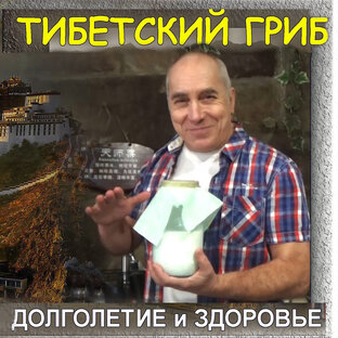 Тибетский гриб