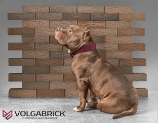 ВИДЫ КИРПИЧА VOLGABRICK