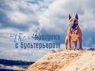 Travel прогулки