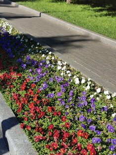 Мы и общество 