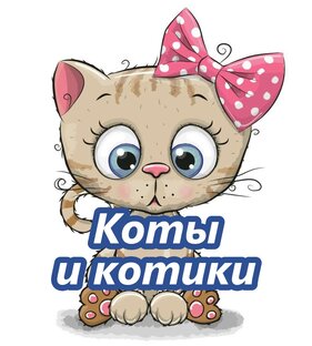 Коты и котики