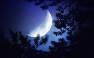 Для сна ✨🌙 Спокойные звуки природы