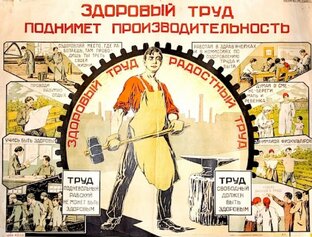 Где мне довелось поработать