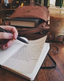 дневник писателя 📖