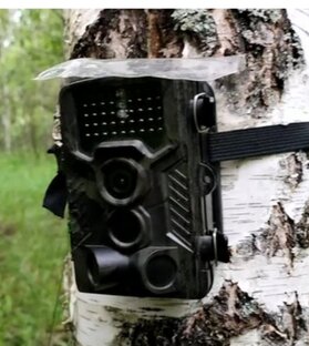 Фотоловушка