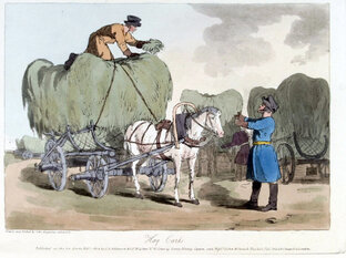 Гужевой транспорт в рисунках и фотографиях