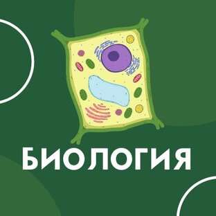 Биология