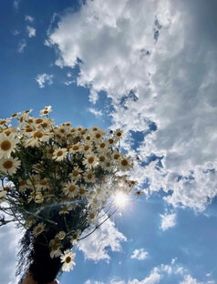 Путешествия по России