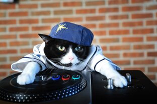 КОТОРИФМА