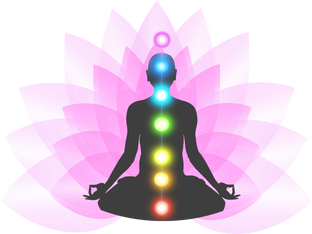 Тела, чакры и касты