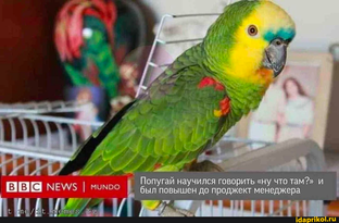 вфывфы