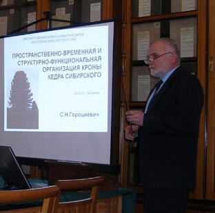 Мировая Хвойная Наука (МХН)