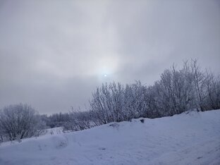 В лесу зимой 