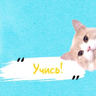 Копилка пользы