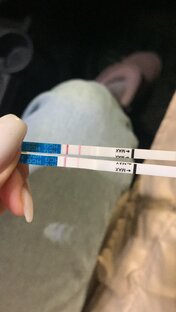 беременность