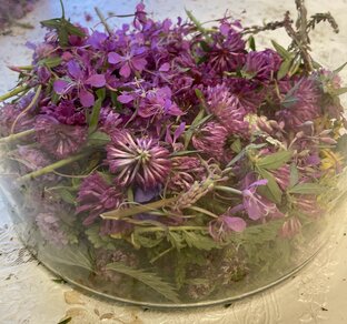 Готовим из даров  природы