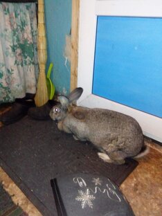 Мы пытались стать богатыми с мужем! 