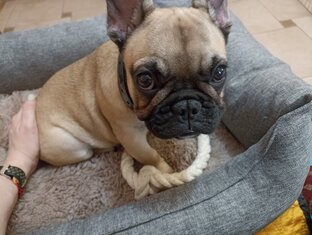 Полезные статьи