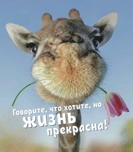 Мои мысли, наблюдения, рассуждения 🤔