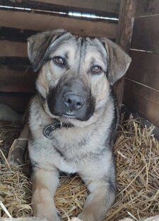 Дети Легенды 