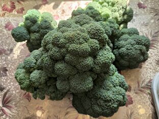 КАПУСТА В АССОРТИМЕНТЕ