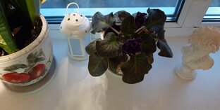 Разговор по душам