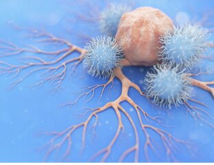 Кейс. МЕТА-технологии против онкологии. 
