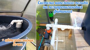 Капельный полив