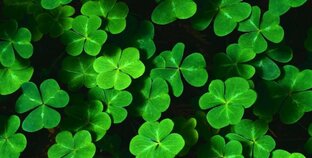 Талисманы удачи и богатства