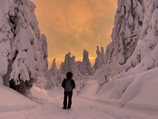 Пермский край