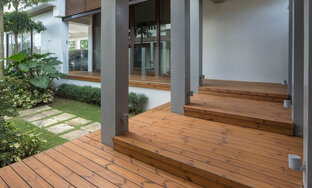 Термодерево