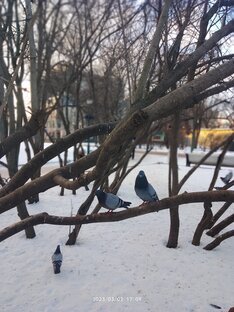 УДИВИТЕЛЬНЫЕ ФАКТЫ 