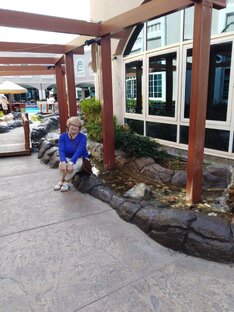 Лягушка - путешественница 