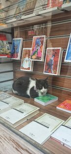 Что почитать 