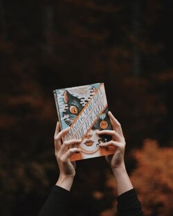 О чем книга?