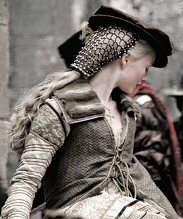 Дневник писателя